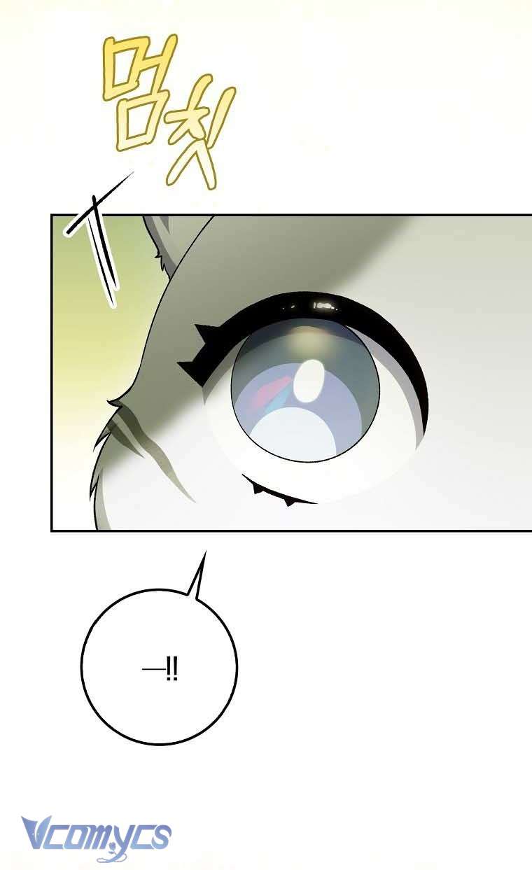 Công Chúa Bạch Hổ Không Có Nguy Hiểm Nha! Chapter 15 - Trang 19