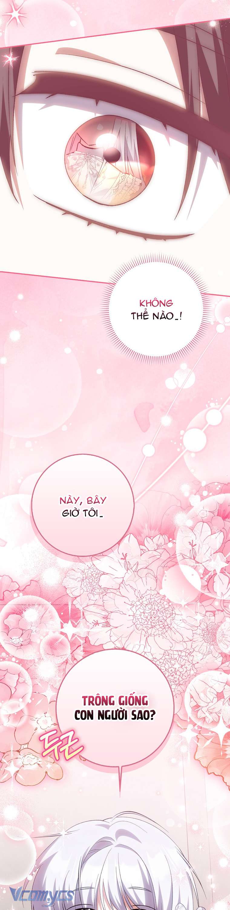 Công Chúa Bạch Hổ Không Có Nguy Hiểm Nha! Chapter 16 - Trang 13