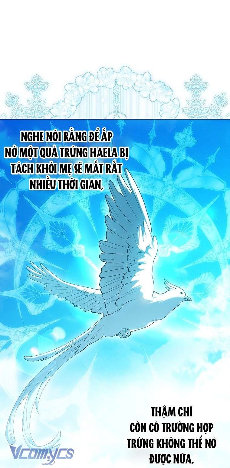 Công Chúa Bạch Hổ Không Có Nguy Hiểm Nha! Chapter 27 - Trang 50