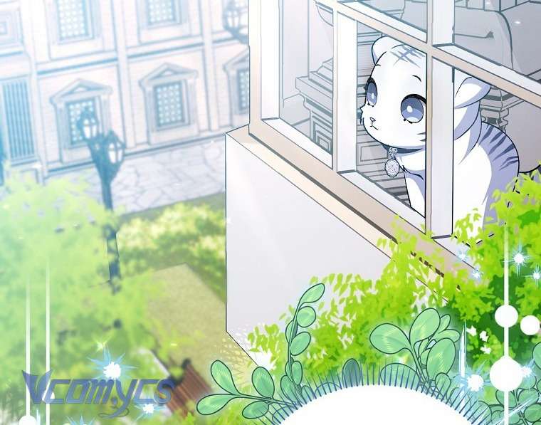 Công Chúa Bạch Hổ Không Có Nguy Hiểm Nha! Chapter 3 - Trang 11