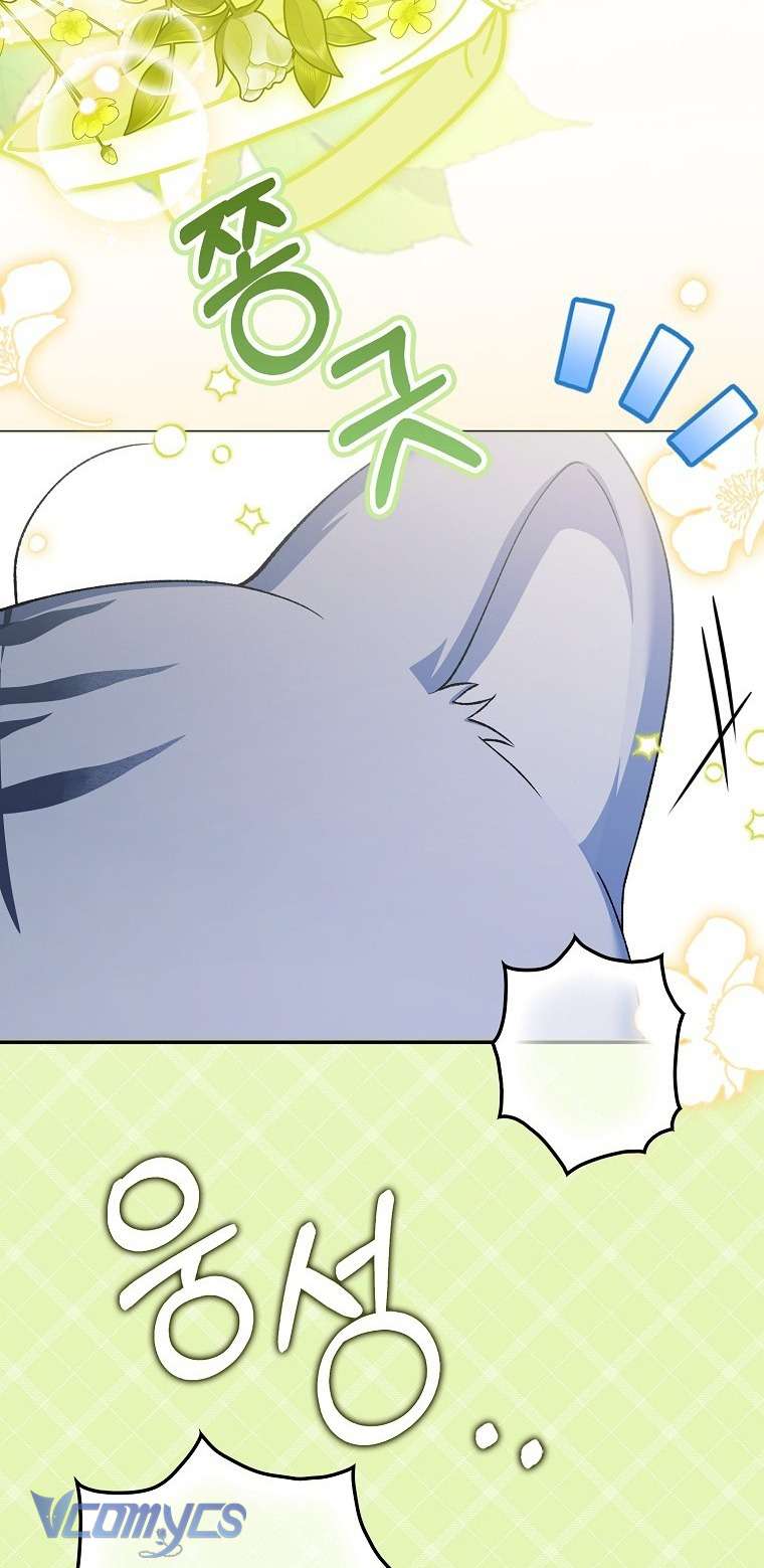 Công Chúa Bạch Hổ Không Có Nguy Hiểm Nha! Chapter 3 - Trang 21