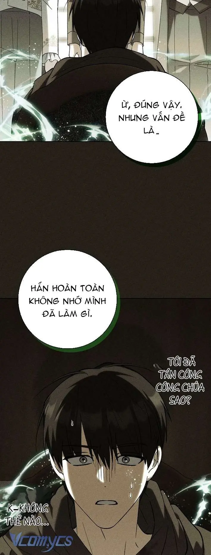Công Chúa Bạch Hổ Không Có Nguy Hiểm Nha! Chapter 31 - Trang 9