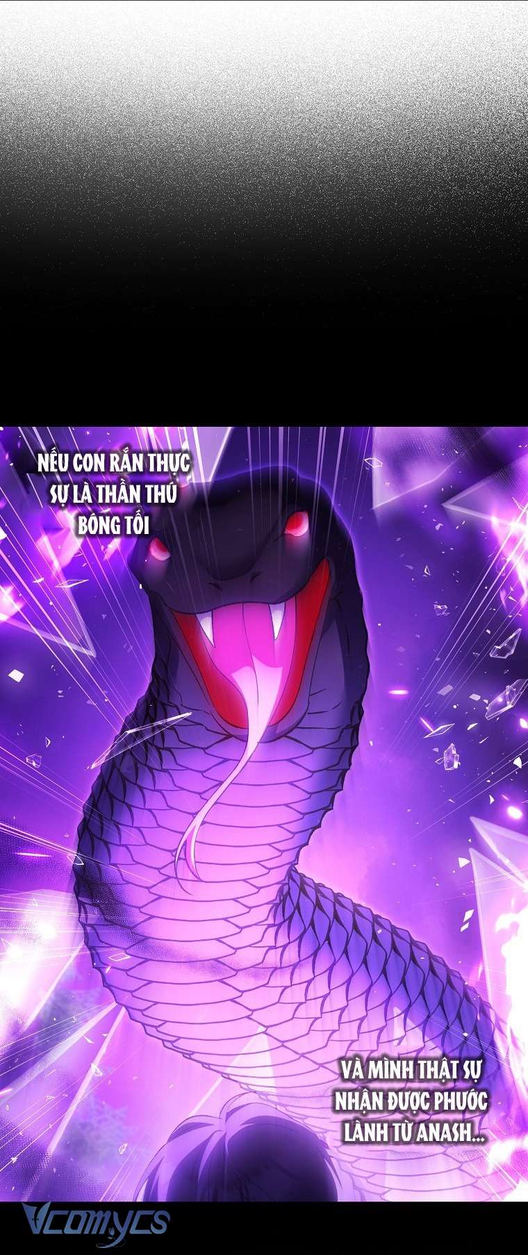 Công Chúa Bạch Hổ Không Có Nguy Hiểm Nha! Chapter 6 - Trang 10