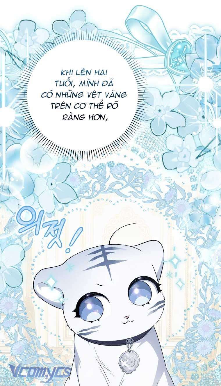 Công Chúa Bạch Hổ Không Có Nguy Hiểm Nha! Chapter 8 - Trang 2