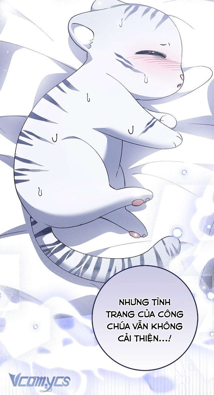 Công Chúa Bạch Hổ Không Có Nguy Hiểm Nha! Chapter 9 - Trang 13