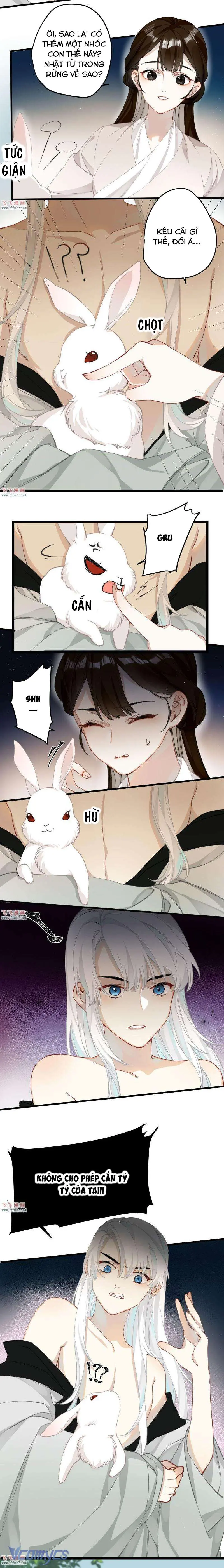 Công Chúa Pháo Hôi Muốn Tùy Tiện Đến Cuối Cùng Chapter 28 - Trang 5