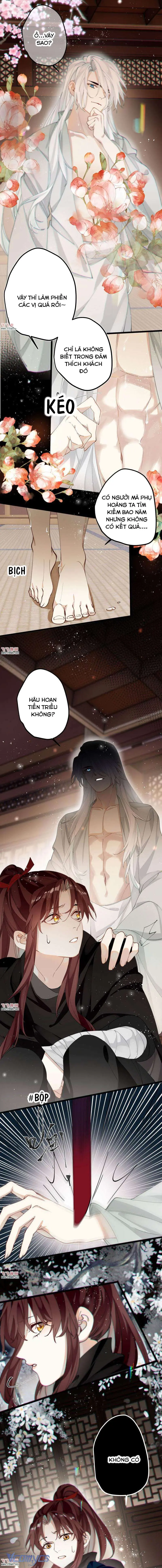 Công Chúa Pháo Hôi Muốn Tùy Tiện Đến Cuối Cùng Chapter 39 - Trang 7