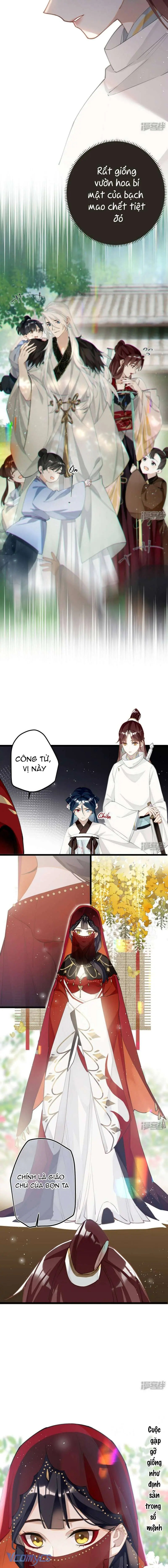 Công Chúa Pháo Hôi Muốn Tùy Tiện Đến Cuối Cùng Chapter 71 - Trang 3
