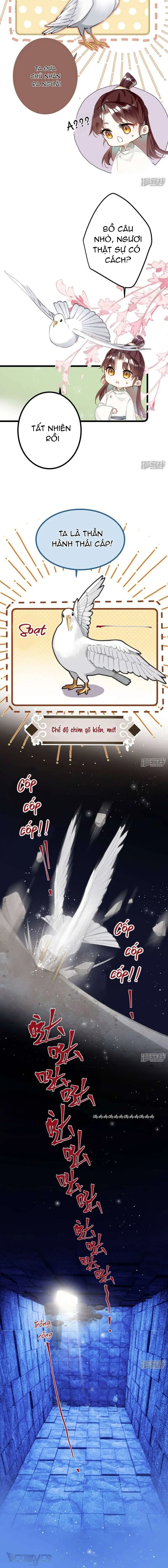 Công Chúa Pháo Hôi Muốn Tùy Tiện Đến Cuối Cùng Chapter 74 - Trang 4