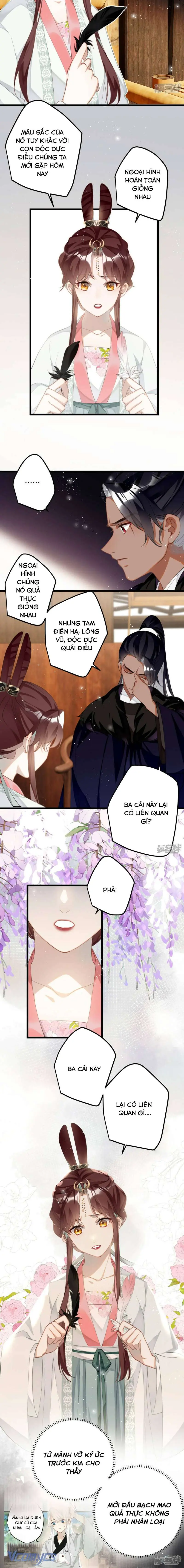 Công Chúa Pháo Hôi Muốn Tùy Tiện Đến Cuối Cùng Chapter 76 - Trang 5