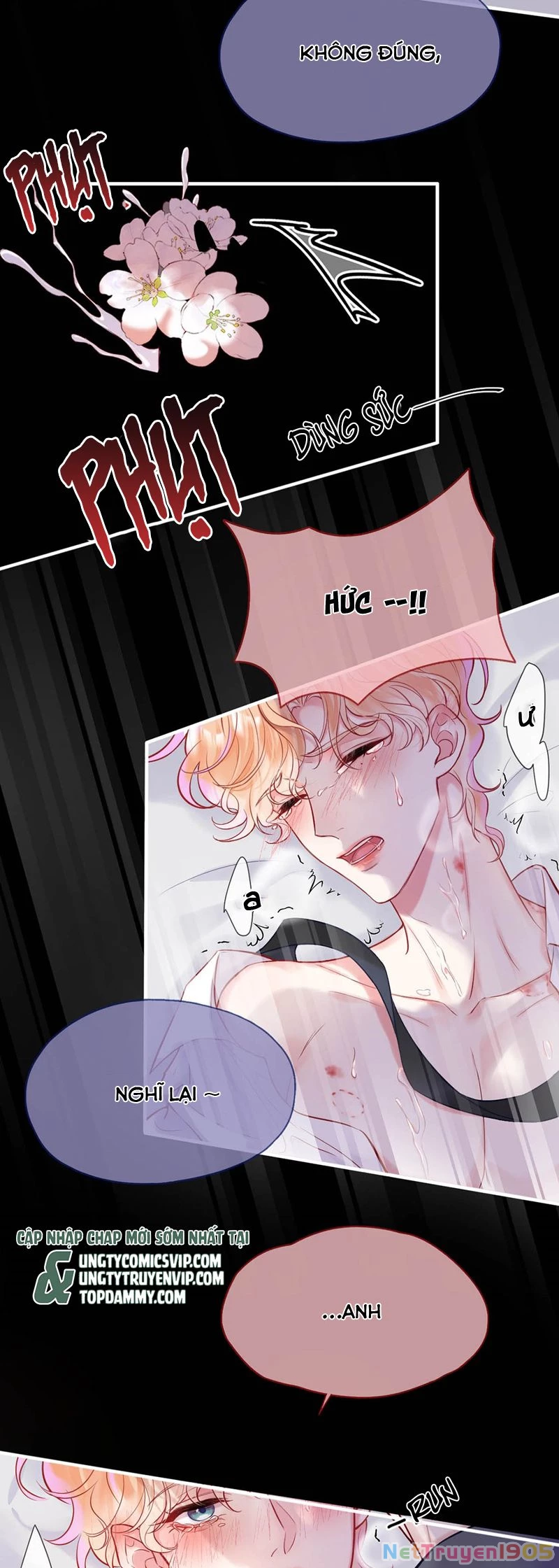 Công Lược Đối Tượng! Hình Tượng Của Cậu Sập Rồi! Chapter 1 - Trang 6