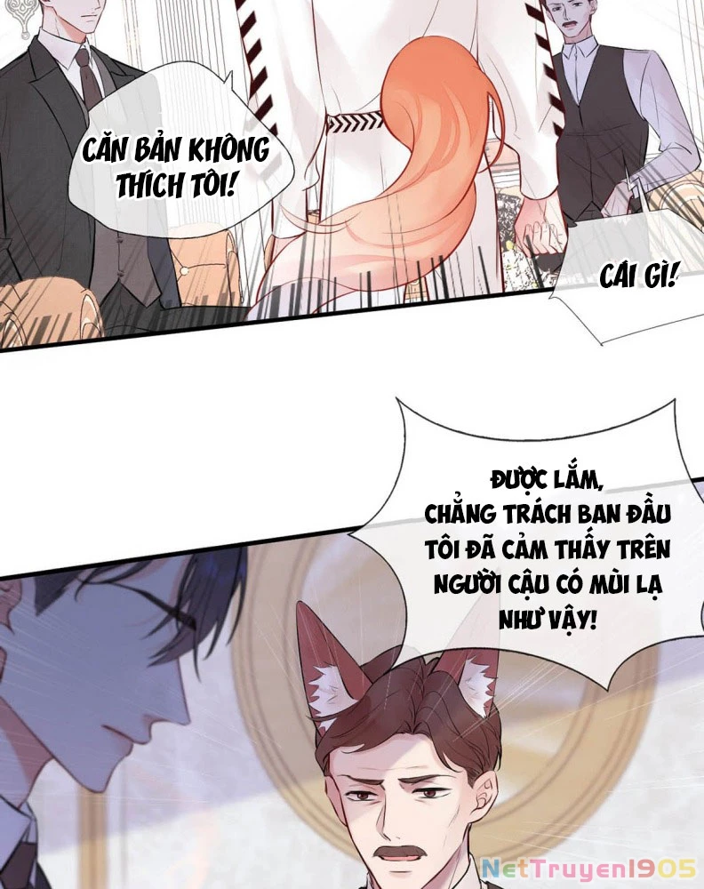 Công Lược Đối Tượng! Hình Tượng Của Cậu Sập Rồi! Chapter 11 - Trang 21