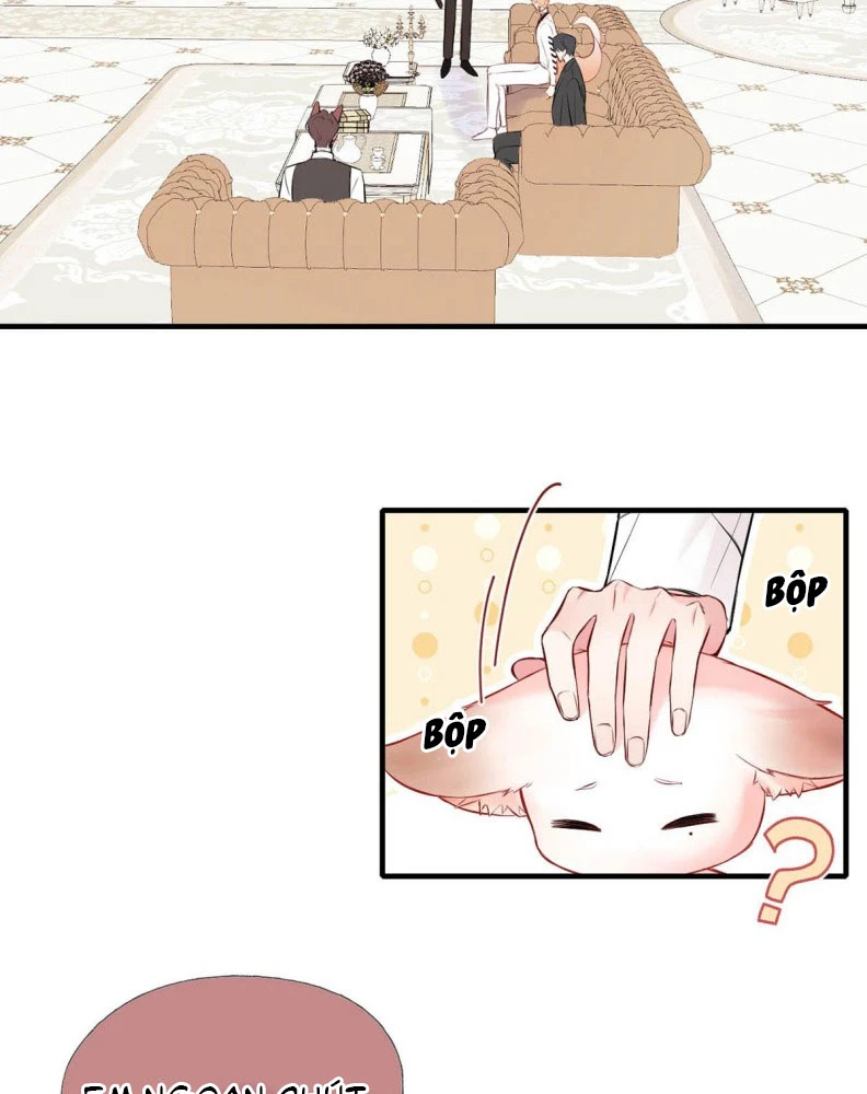 Công Lược Đối Tượng! Hình Tượng Của Cậu Sập Rồi! Chapter 11 - Trang 39