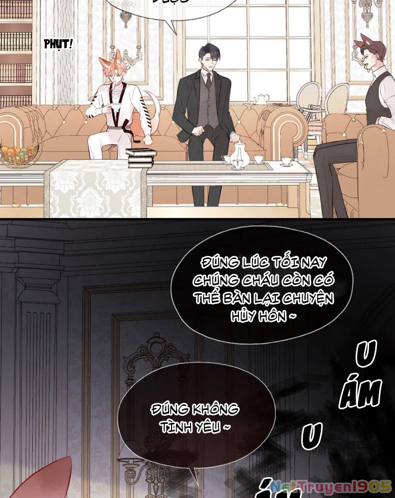Công Lược Đối Tượng! Hình Tượng Của Cậu Sập Rồi! Chapter 11 - Trang 43