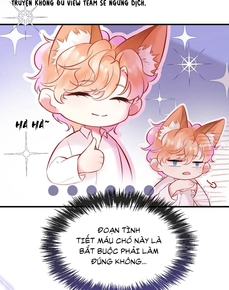 Công Lược Đối Tượng! Hình Tượng Của Cậu Sập Rồi! Chapter 4 - Trang 16