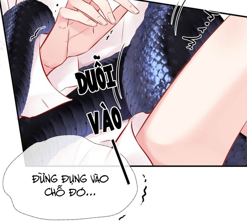 Công Lược Đối Tượng! Hình Tượng Của Cậu Sập Rồi! Chapter 4 - Trang 33