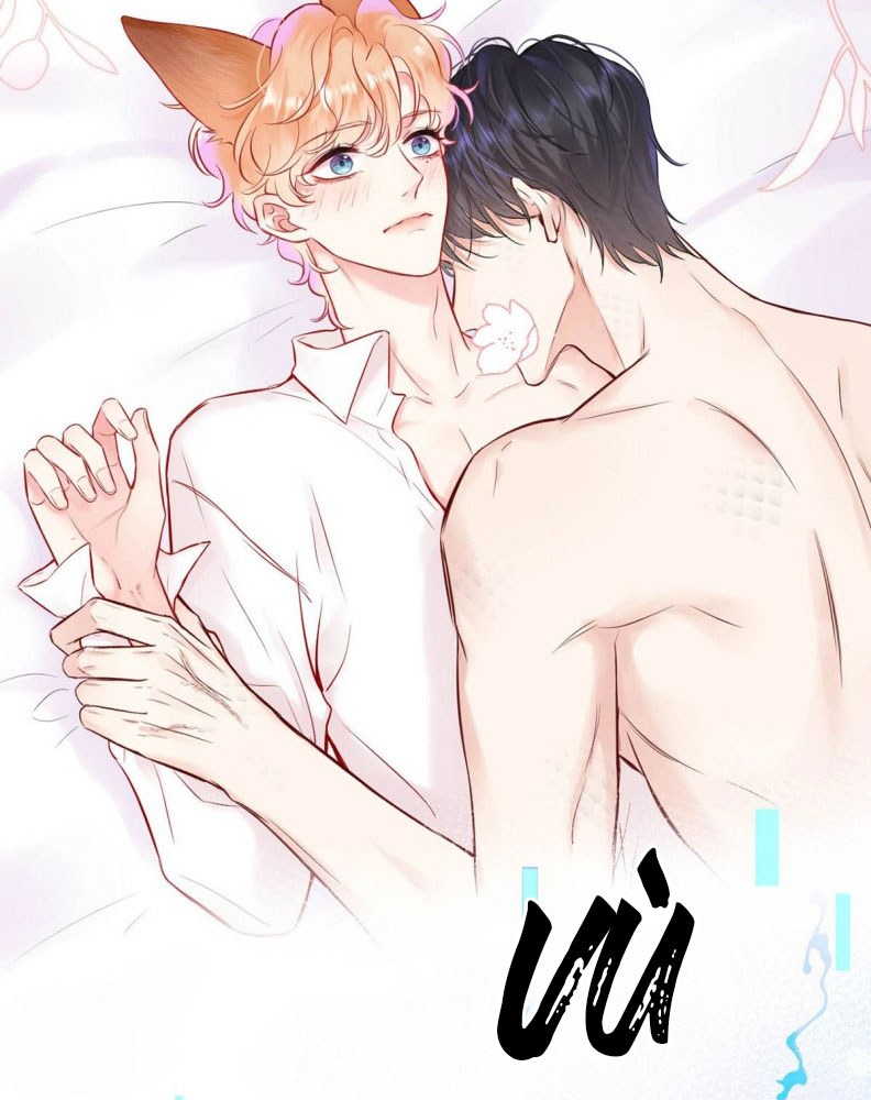 Công Lược Đối Tượng! Hình Tượng Của Cậu Sập Rồi! Chapter 4 - Trang 7