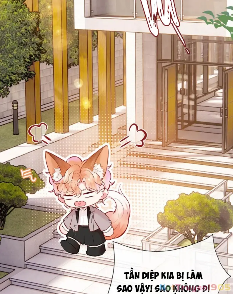 Công Lược Đối Tượng! Hình Tượng Của Cậu Sập Rồi! Chapter 5 - Trang 6
