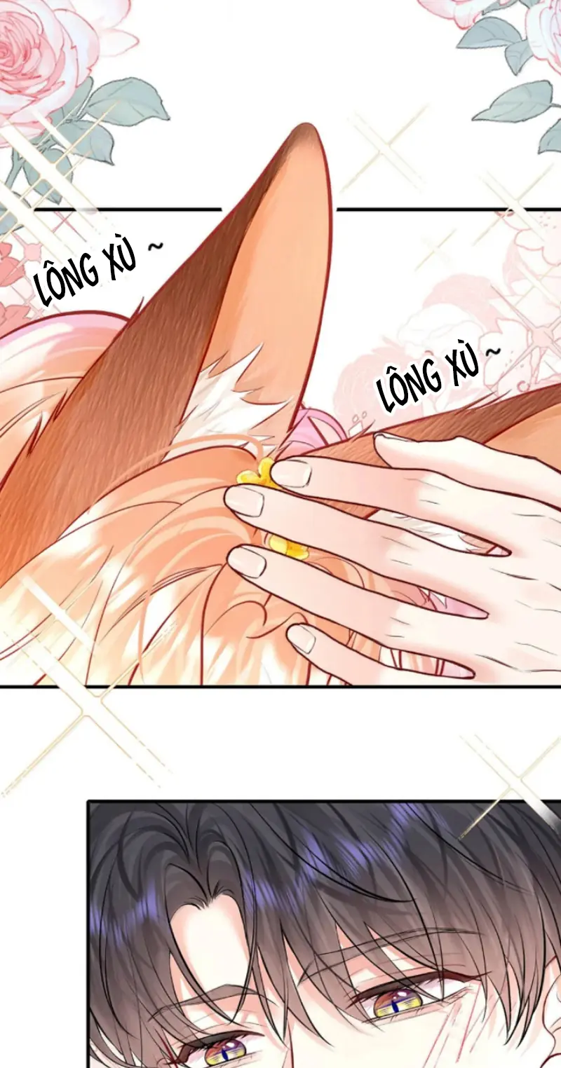 Công Lược Đối Tượng! Hình Tượng Của Cậu Sập Rồi! Chapter 59 - Trang 21