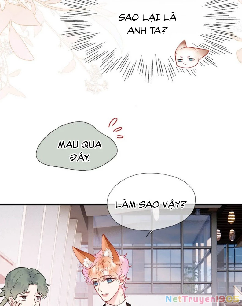 Công Lược Đối Tượng! Hình Tượng Của Cậu Sập Rồi! Chapter 6 - Trang 10