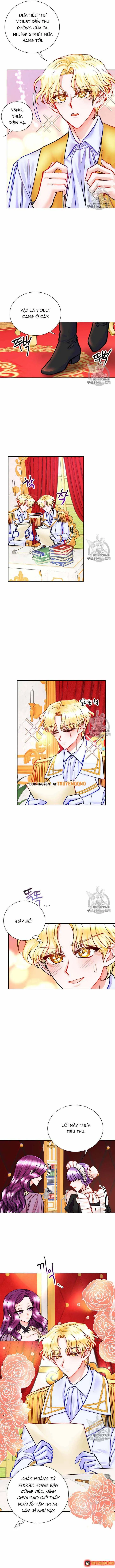 Công Nương Trong Hoàn Cảnh Cực Hạn Chapter 17 - Trang 9