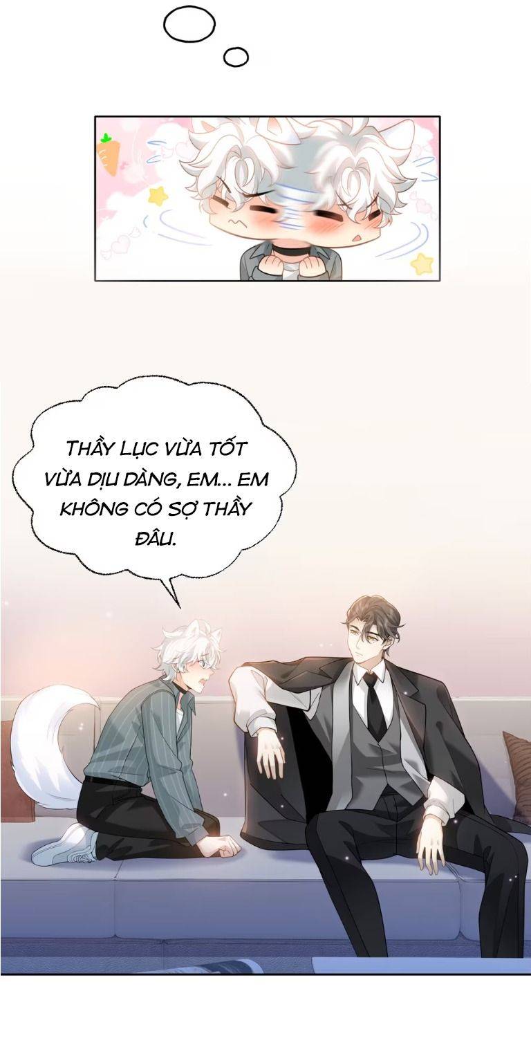 Crush của tôi là mèo Chapter 1 - Trang 22