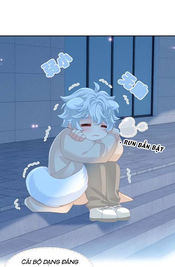 Crush của tôi là mèo Chapter 2 - Trang 13