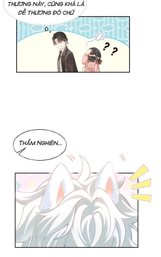Crush của tôi là mèo Chapter 2 - Trang 14