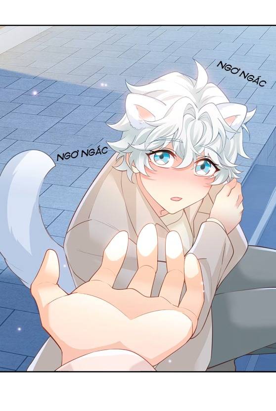 Crush của tôi là mèo Chapter 2 - Trang 16