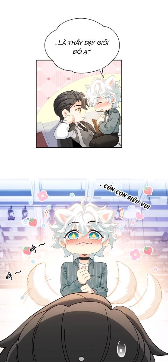 Crush của tôi là mèo Chapter 2 - Trang 8