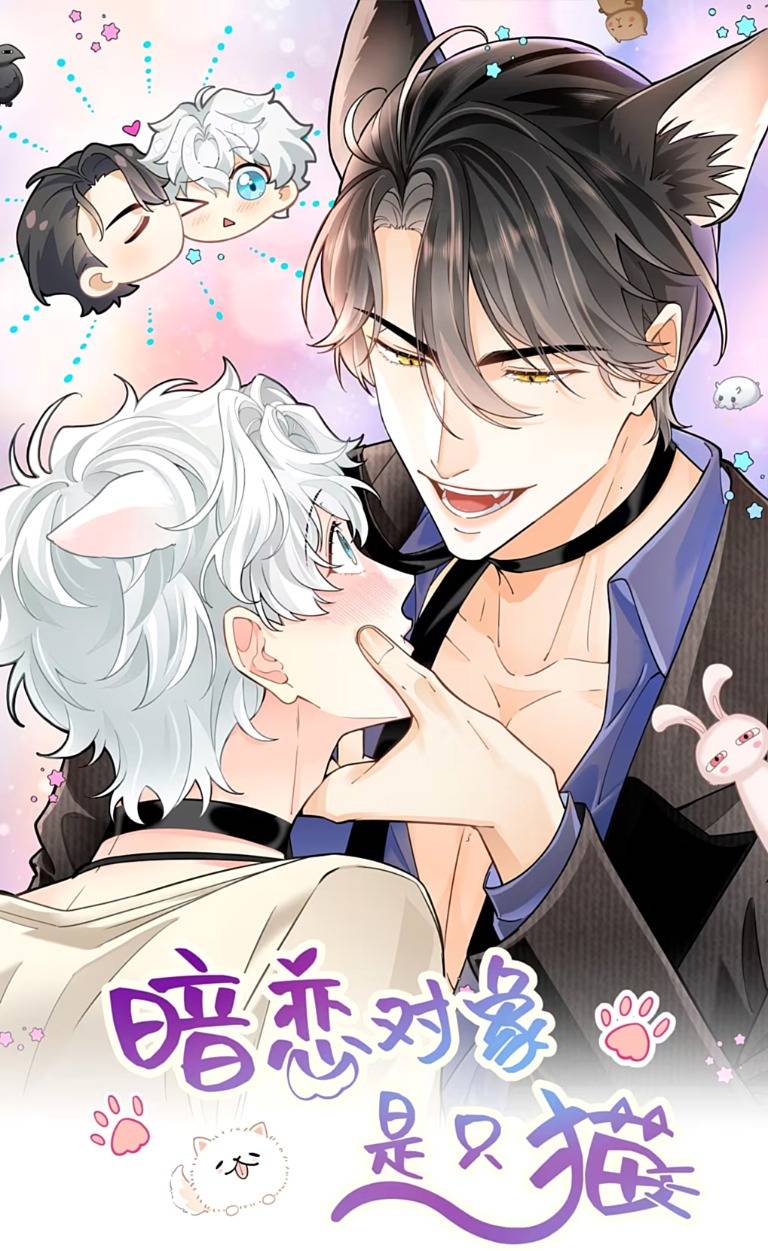 Crush của tôi là mèo Chapter 4 - Trang 2
