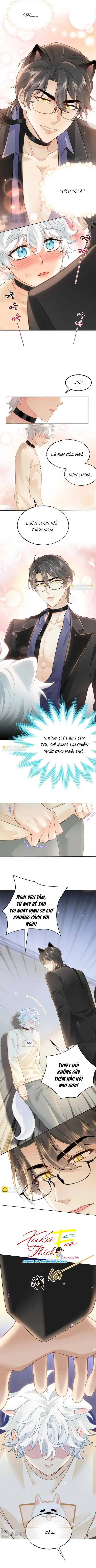 Crush của tôi là mèo Chapter 7 - Trang 3