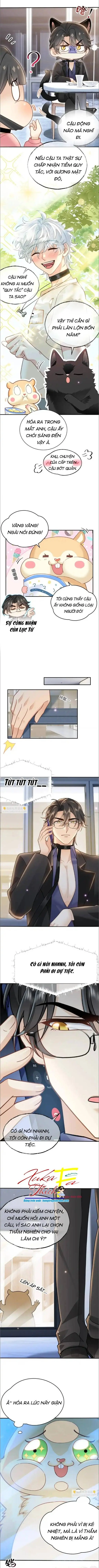 Crush của tôi là mèo Chapter 8 - Trang 3