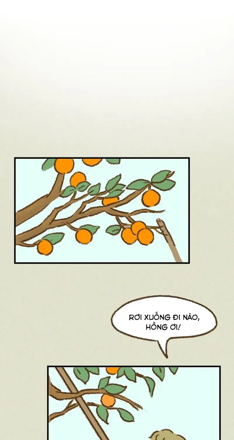 Cửa Hàng Nơi Ký Ức Tìm Đến Chapter 16 - Trang 9
