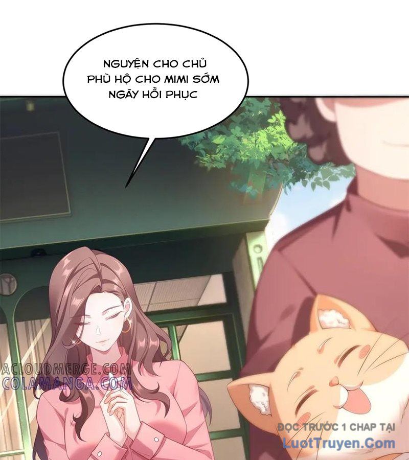 Cửa Hàng Sủng Vật Thần Kỳ Chapter 1 - Trang 11