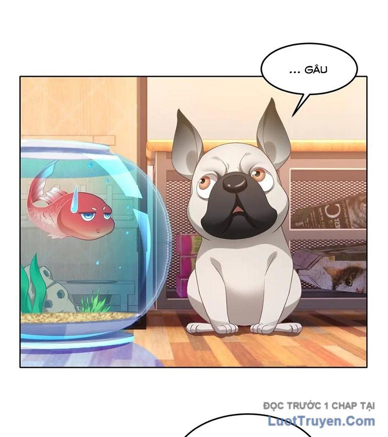 Cửa Hàng Sủng Vật Thần Kỳ Chapter 1 - Trang 21