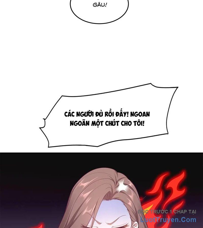 Cửa Hàng Sủng Vật Thần Kỳ Chapter 1 - Trang 23
