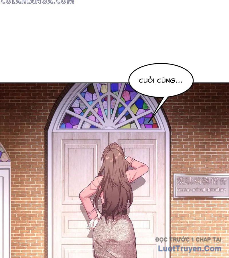 Cửa Hàng Sủng Vật Thần Kỳ Chapter 1 - Trang 41