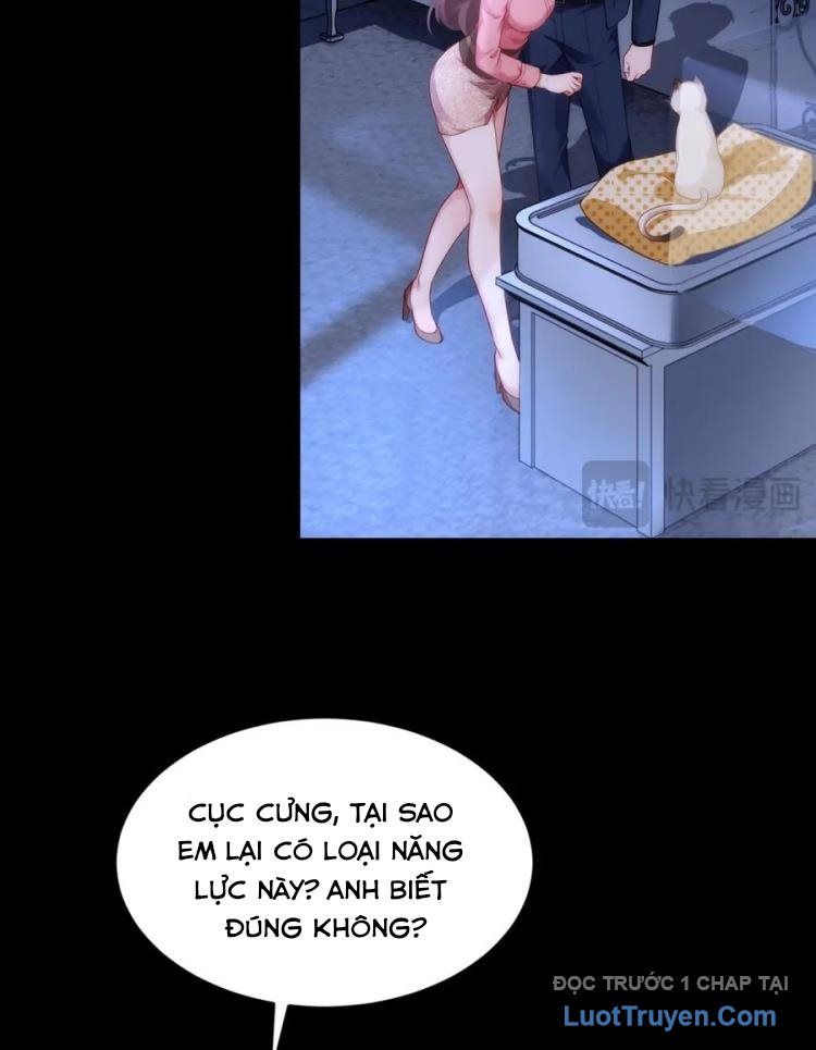 Cửa Hàng Sủng Vật Thần Kỳ Chapter 10 - Trang 16