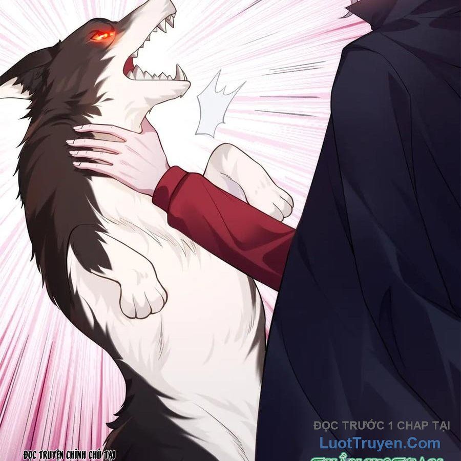 Cửa Hàng Sủng Vật Thần Kỳ Chapter 11 - Trang 10