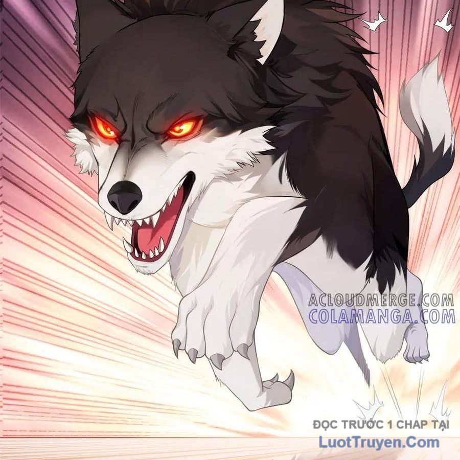 Cửa Hàng Sủng Vật Thần Kỳ Chapter 11 - Trang 6