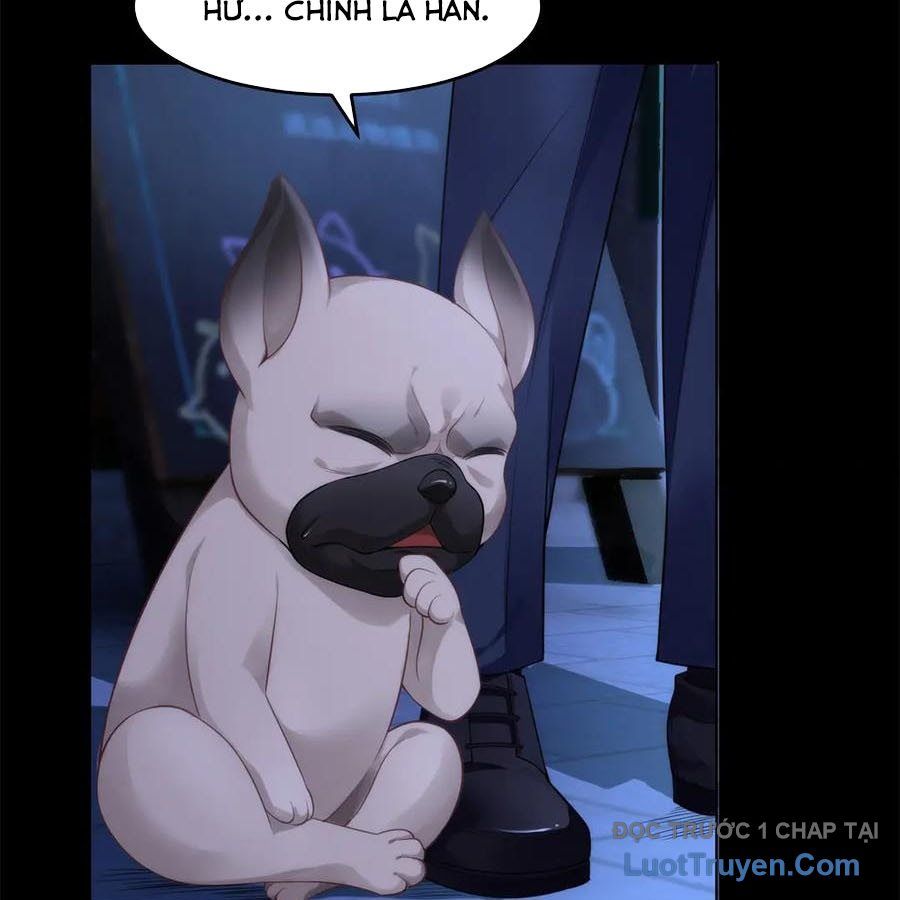 Cửa Hàng Sủng Vật Thần Kỳ Chapter 12 - Trang 7