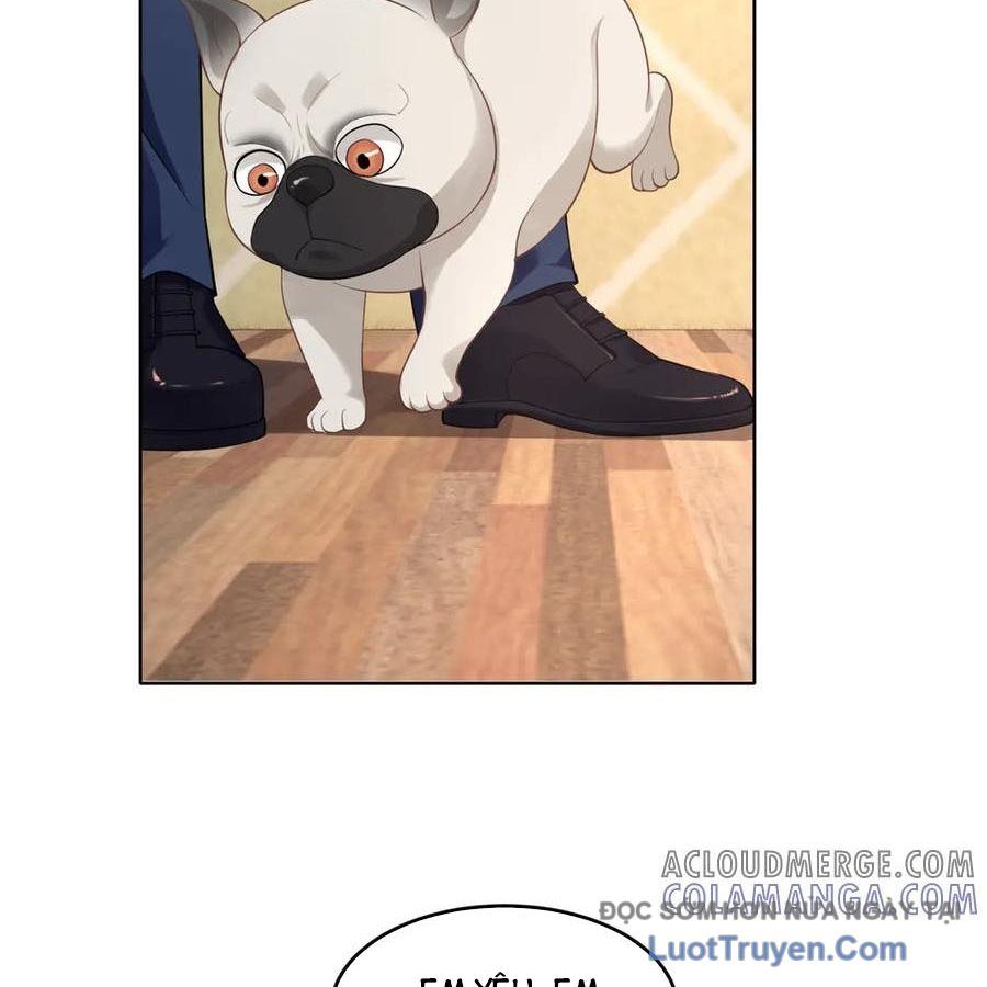 Cửa Hàng Sủng Vật Thần Kỳ Chapter 16 - Trang 11