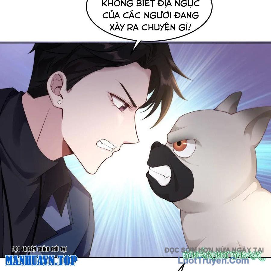 Cửa Hàng Sủng Vật Thần Kỳ Chapter 16 - Trang 19