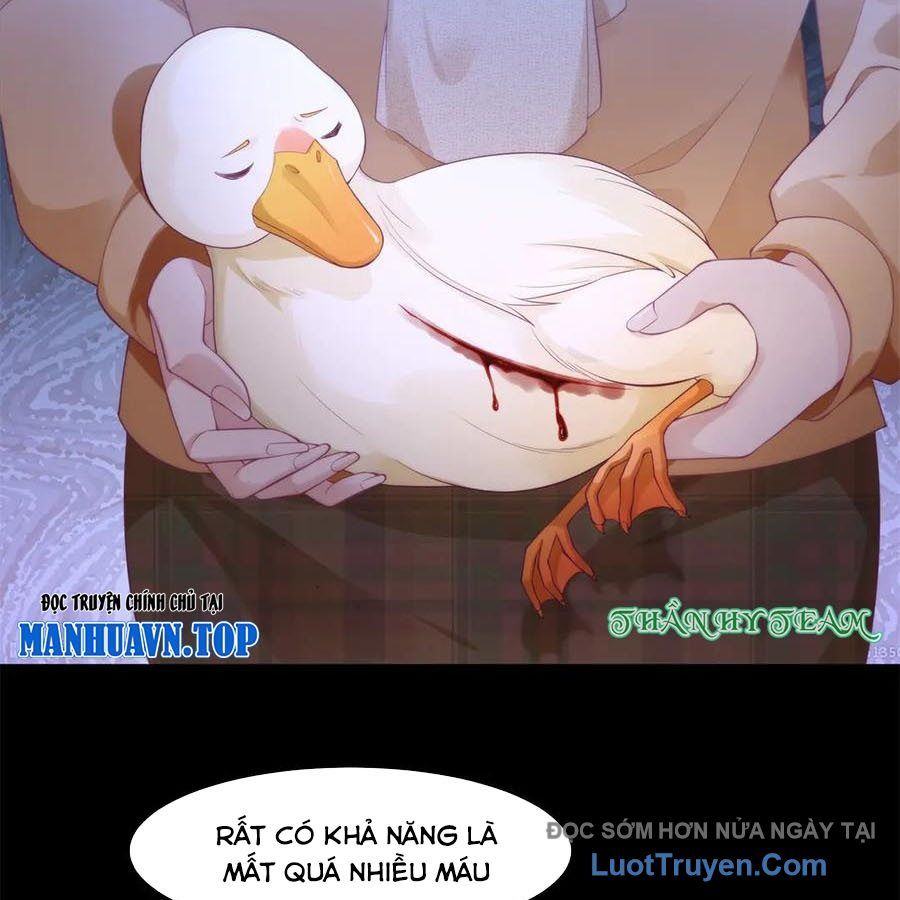 Cửa Hàng Sủng Vật Thần Kỳ Chapter 16 - Trang 34