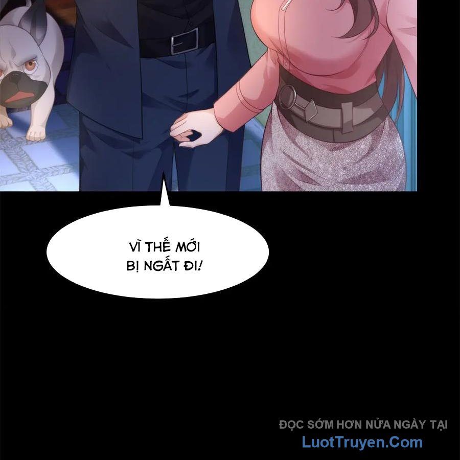 Cửa Hàng Sủng Vật Thần Kỳ Chapter 16 - Trang 36