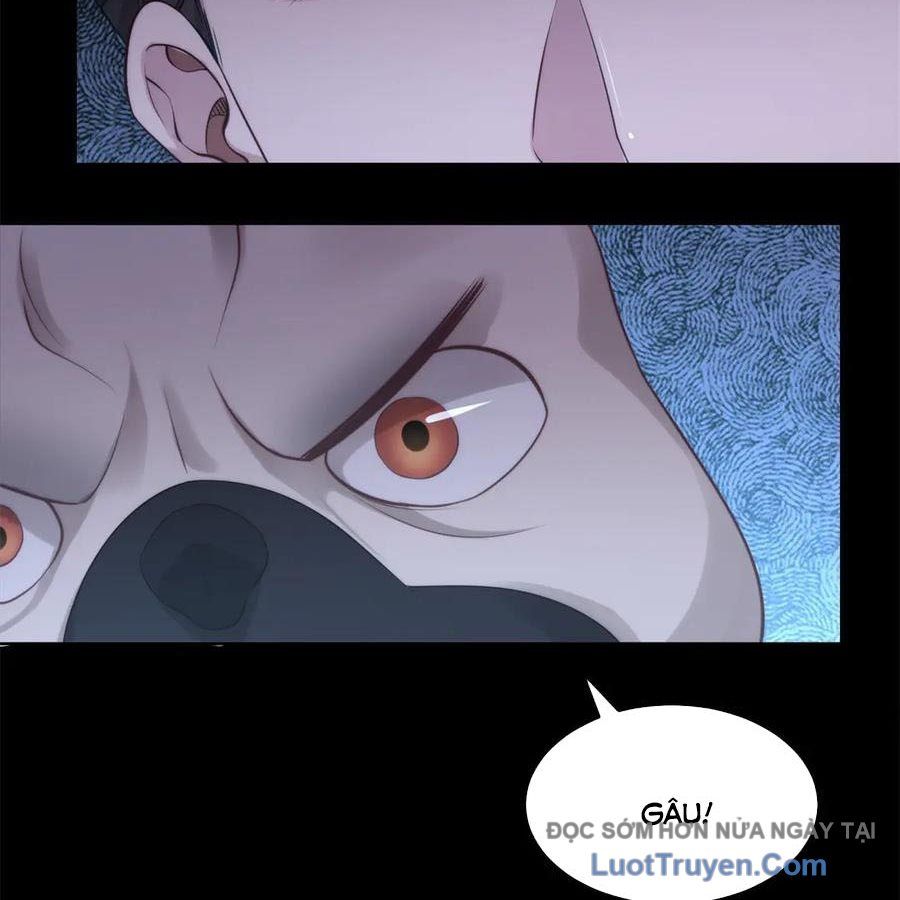 Cửa Hàng Sủng Vật Thần Kỳ Chapter 16 - Trang 39