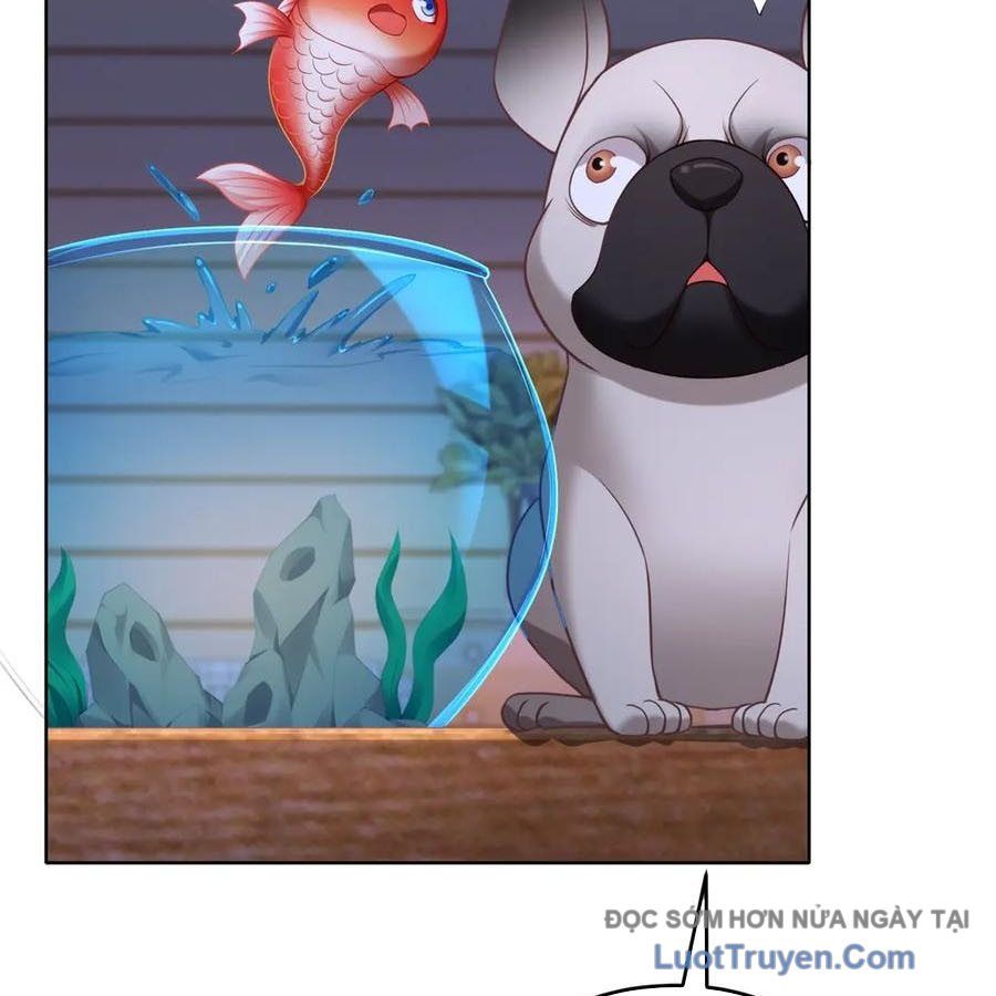 Cửa Hàng Sủng Vật Thần Kỳ Chapter 17 - Trang 14