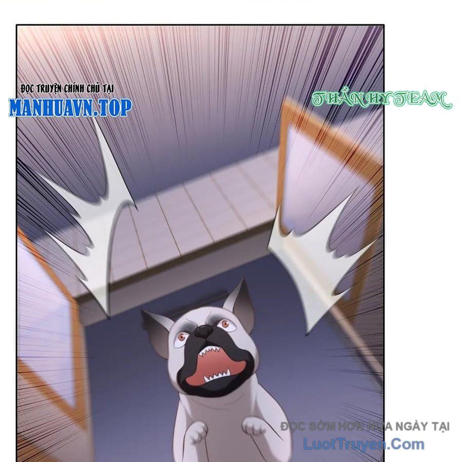 Cửa Hàng Sủng Vật Thần Kỳ Chapter 17 - Trang 18