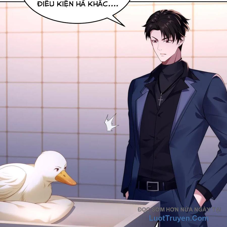 Cửa Hàng Sủng Vật Thần Kỳ Chapter 17 - Trang 42